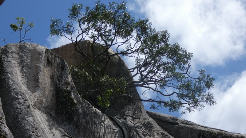Great Zimbabwe.jpg